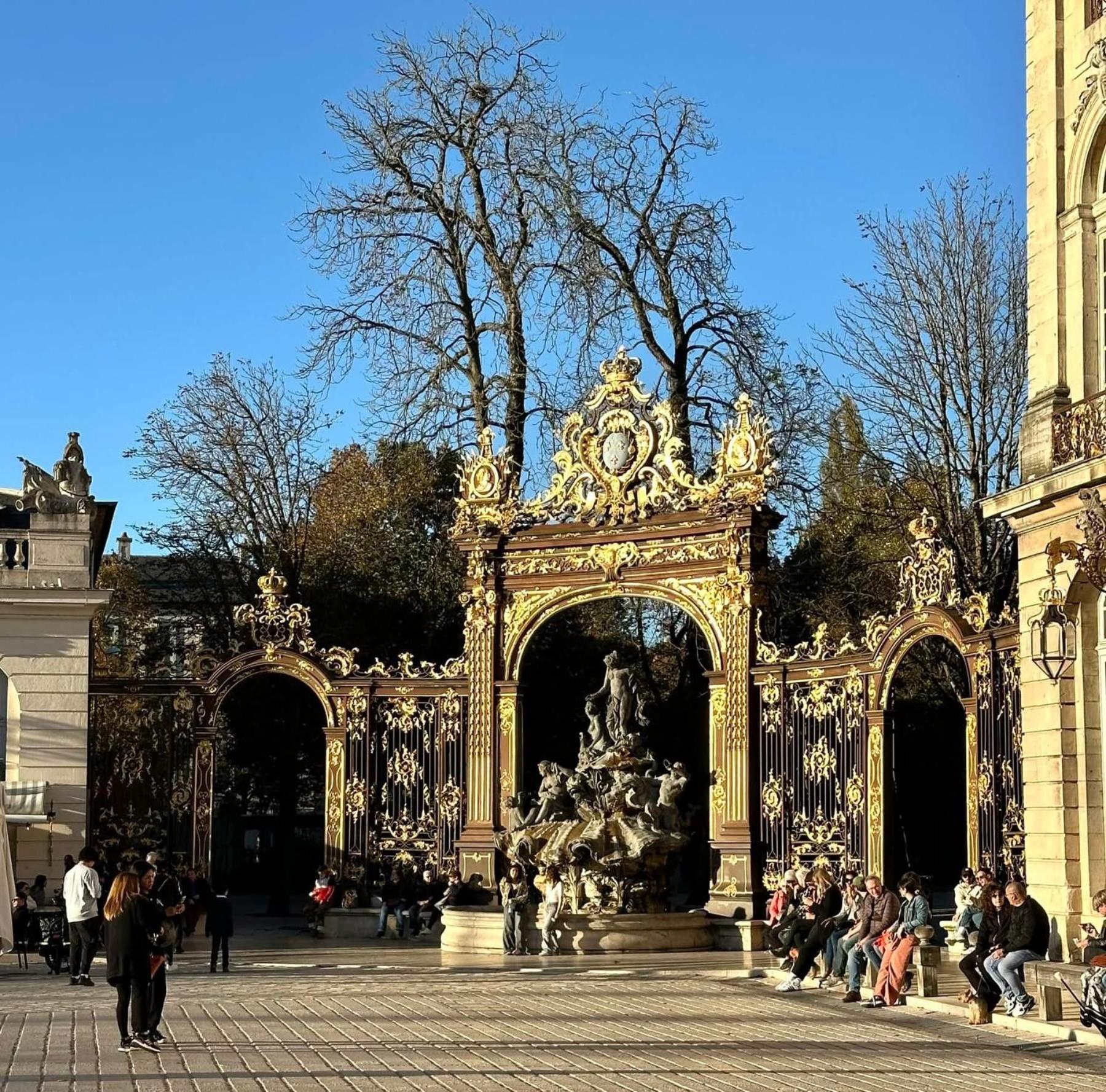 Petit Cocon Proche De Stanislas Nancy Ngoại thất bức ảnh